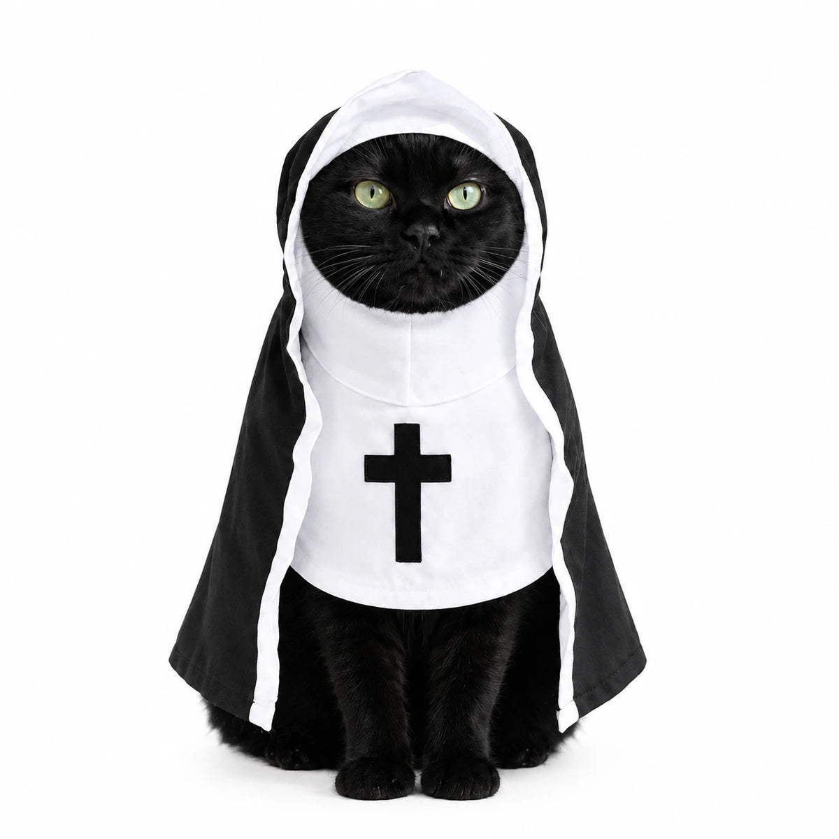 Holy Nun
