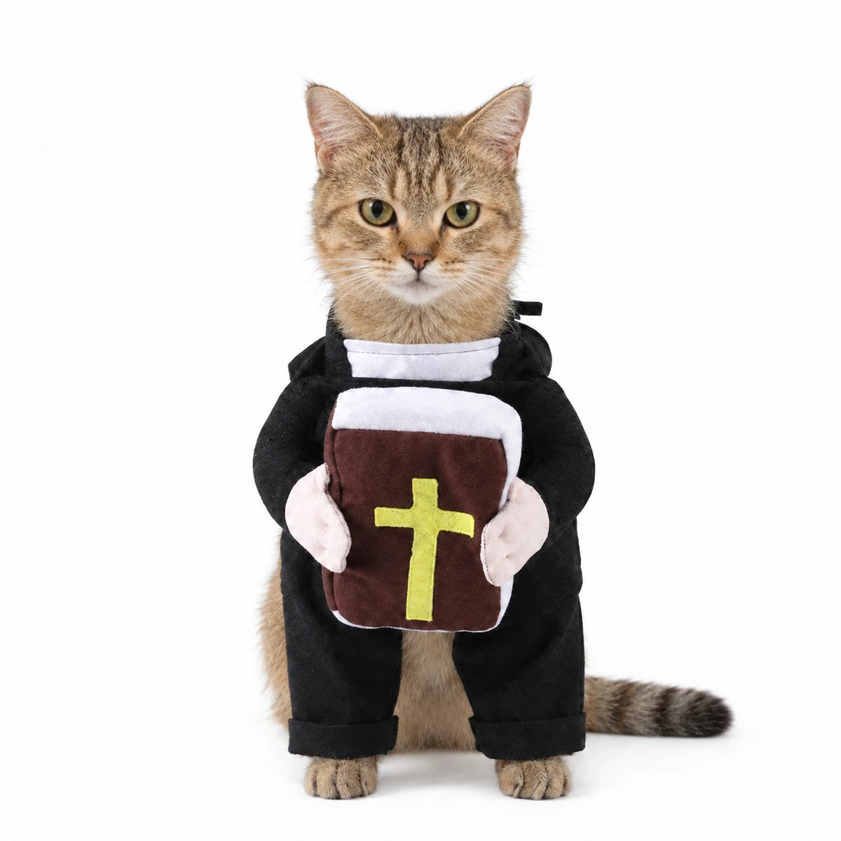 Holy Pope