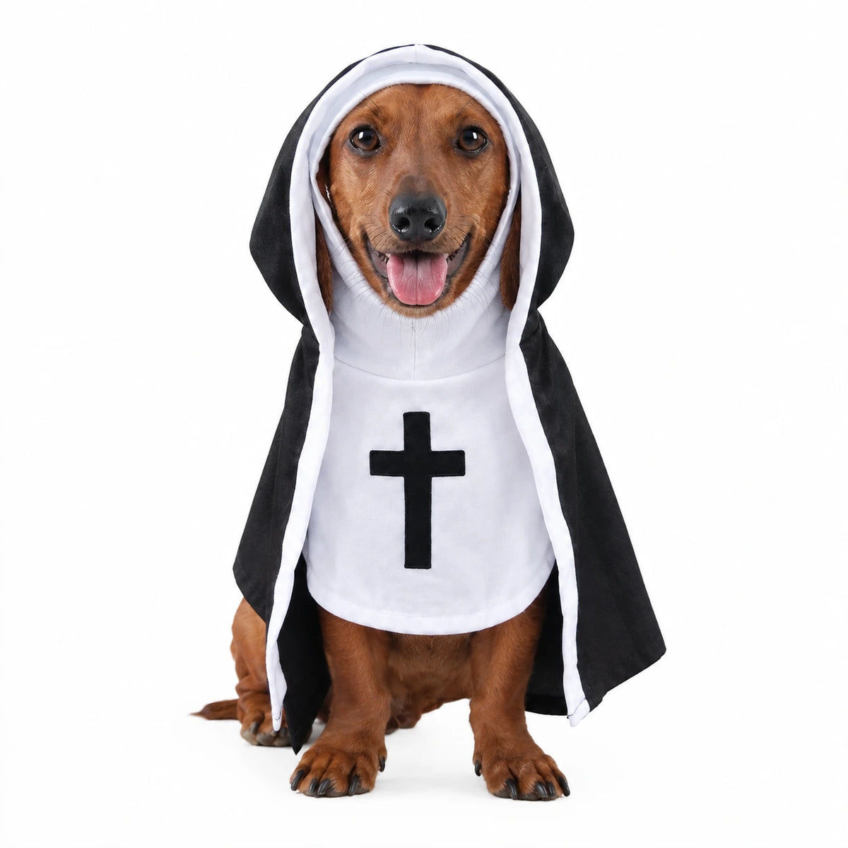 Holy Nun