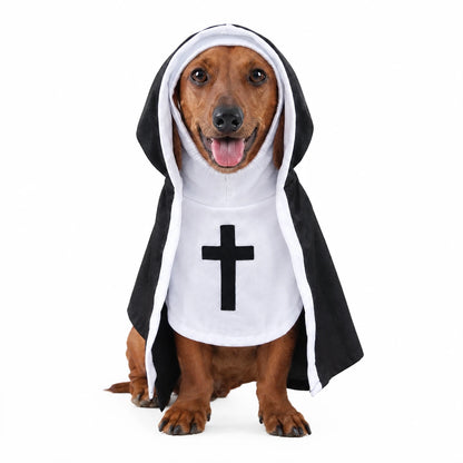 Holy Nun