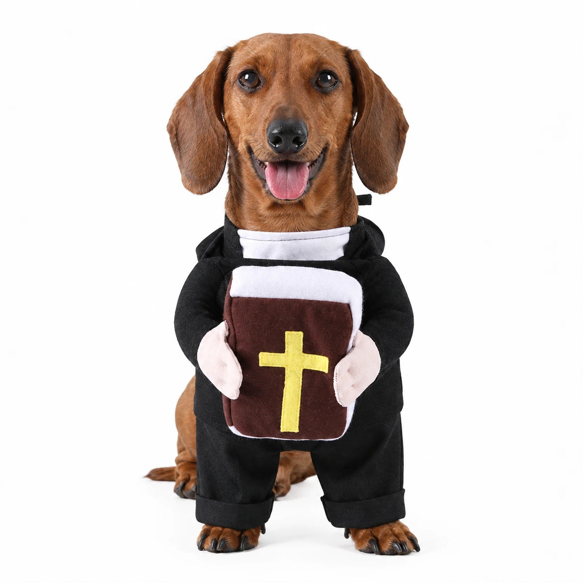 Holy Pope